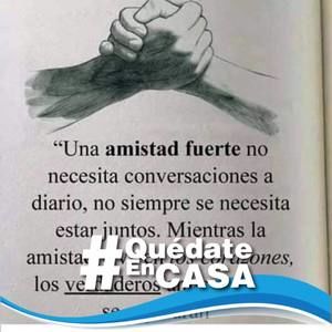 Meet your Posher, Paty